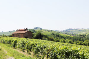 Real estate in italy_properties for sale in italy