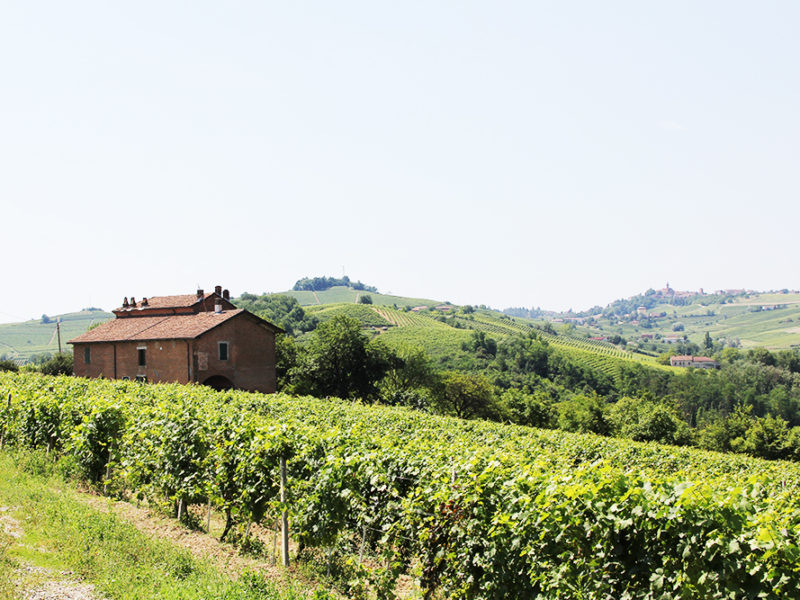 Real estate in italy_properties for sale in italy
