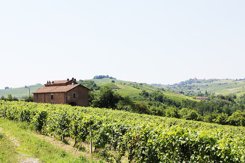 Real estate in italy_properties for sale in italy