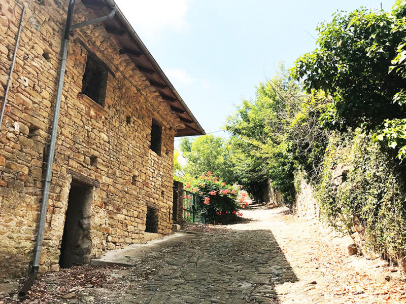 Real estate in Italy_Properties for sale in italy_Piedmont_Terragente