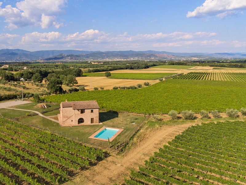 Properties for sale in Italy_Tuscany_Terragente Real Estate
