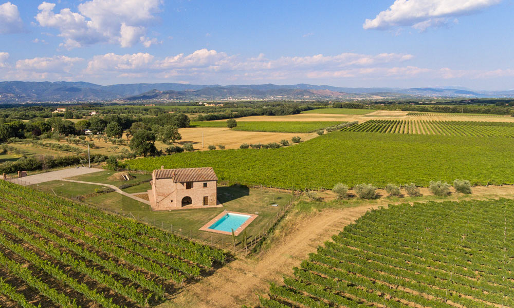 Properties for sale in Italy_Tuscany_Terragente Real Estate