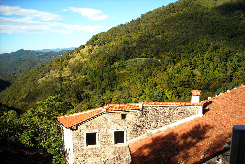 Properties for sale in Italy_Tuscany_Terragente Real Estate